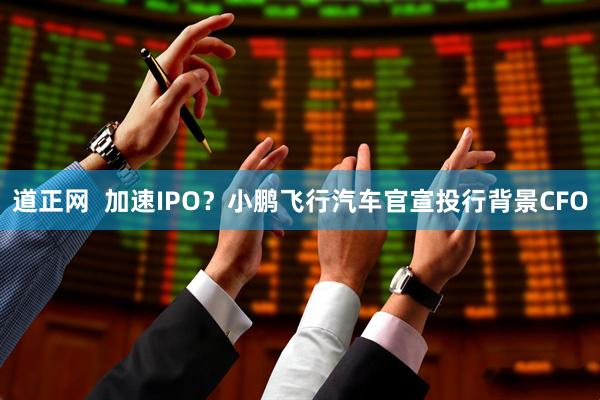 道正网  加速IPO？小鹏飞行汽车官宣投行背景CFO