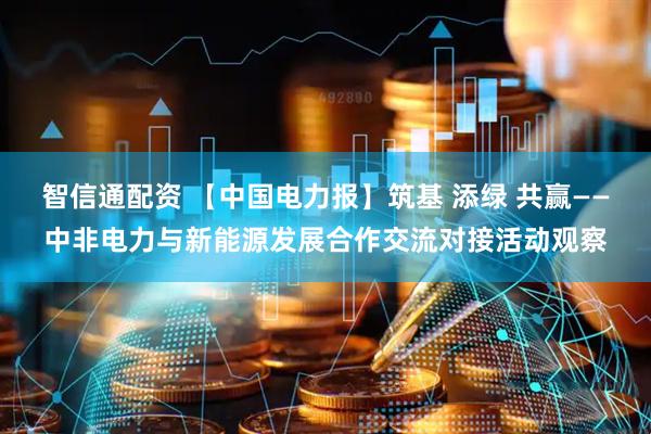 智信通配资 【中国电力报】筑基 添绿 共赢——中非电力与新能源发展合作交流对接活动观察