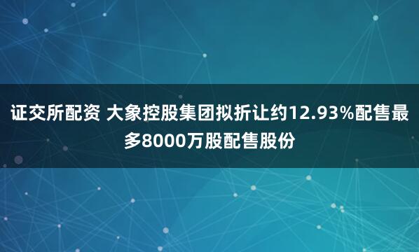 证交所配资 大象控股集团拟折让约12.93%配售最多8000万股配售股份