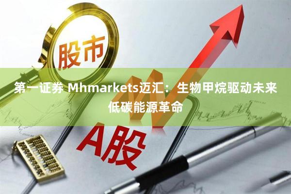 第一证券 Mhmarkets迈汇：生物甲烷驱动未来低碳能源革命