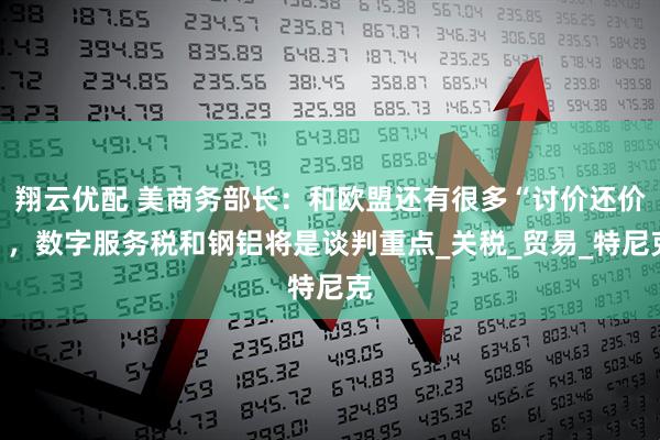 翔云优配 美商务部长：和欧盟还有很多“讨价还价”，数字服务税和钢铝将是谈判重点_关税_贸易_特尼克