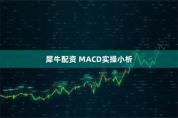 犀牛配资 MACD实操小析
