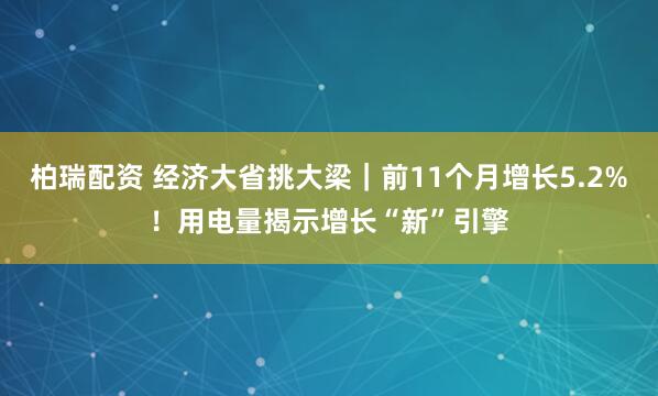 柏瑞配资 经济大省挑大梁｜前11个月增长5.2%！用电量揭示增长“新”引擎