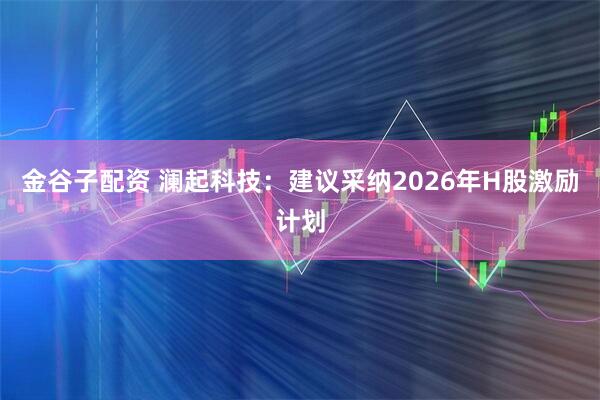 金谷子配资 澜起科技：建议采纳2026年H股激励计划